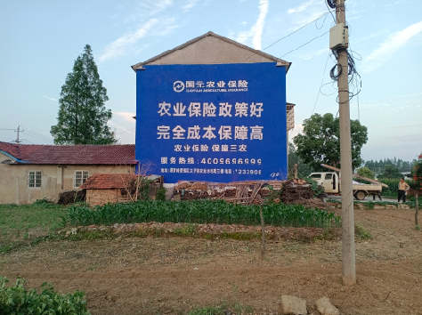 崇左墙体广告的优劣势你知道吗？