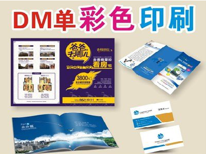 崇左单页印刷,色彩搭配简单。